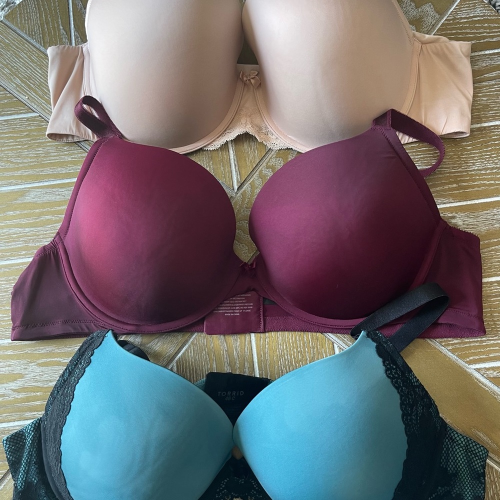 Torrid bras